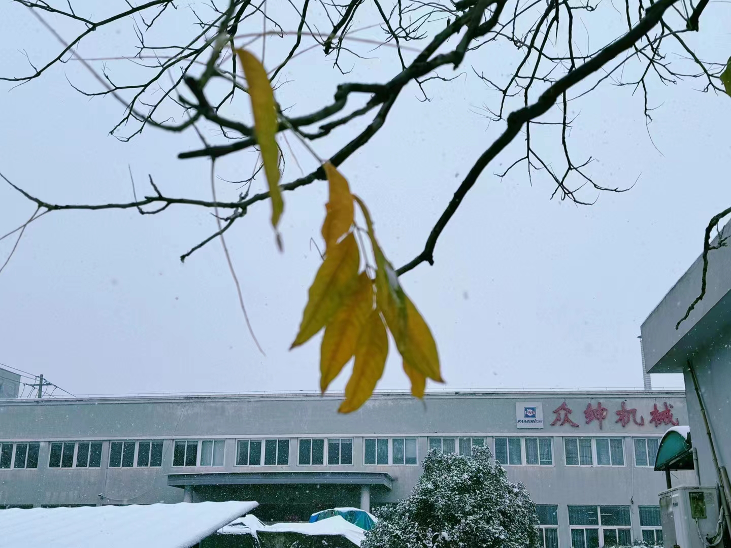 冬天的第一場雪